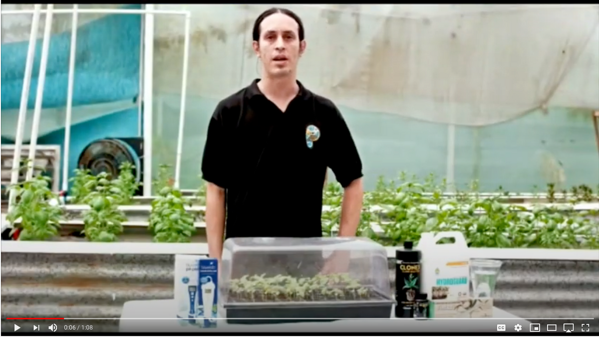 Video tutorial: cómo clonar tus propias plantas paso a paso - Pachamama Indoor Farming Culture