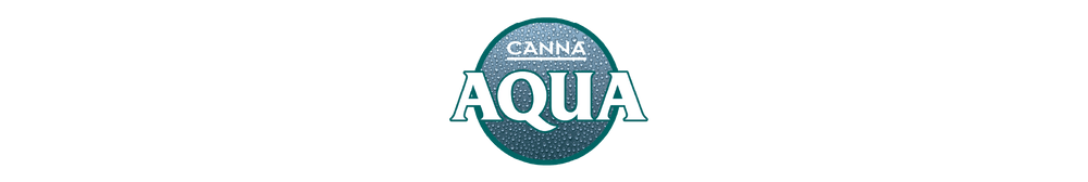 Canna - Aqua