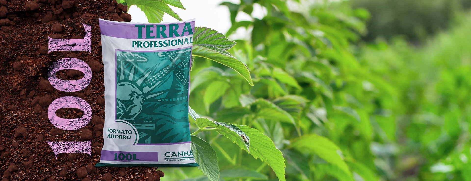 Pachamama Indoor Farming Culture
