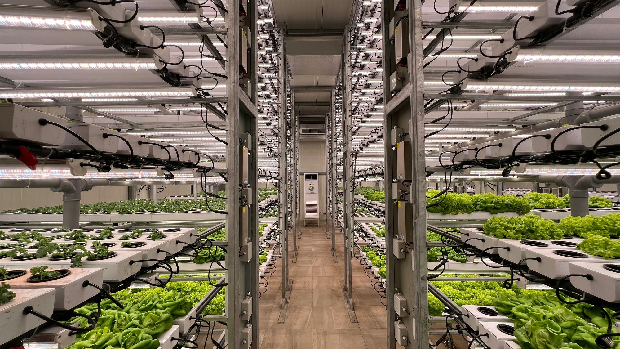 Pachamama Indoor Farming Culture