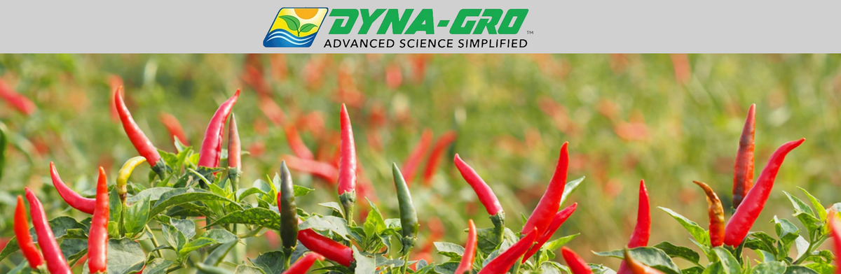 Los beneficios de DYNAGRO - Pachamama Indoor Farming Culture