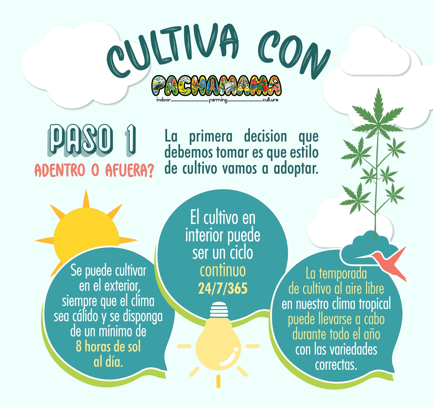 Cultiva con Pachamama Paso #1 - Pachamama Indoor Farming Culture