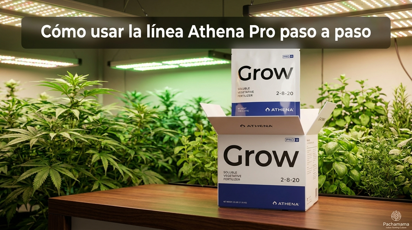 Athena Pro Grow - Guia completa de uso paso a paso