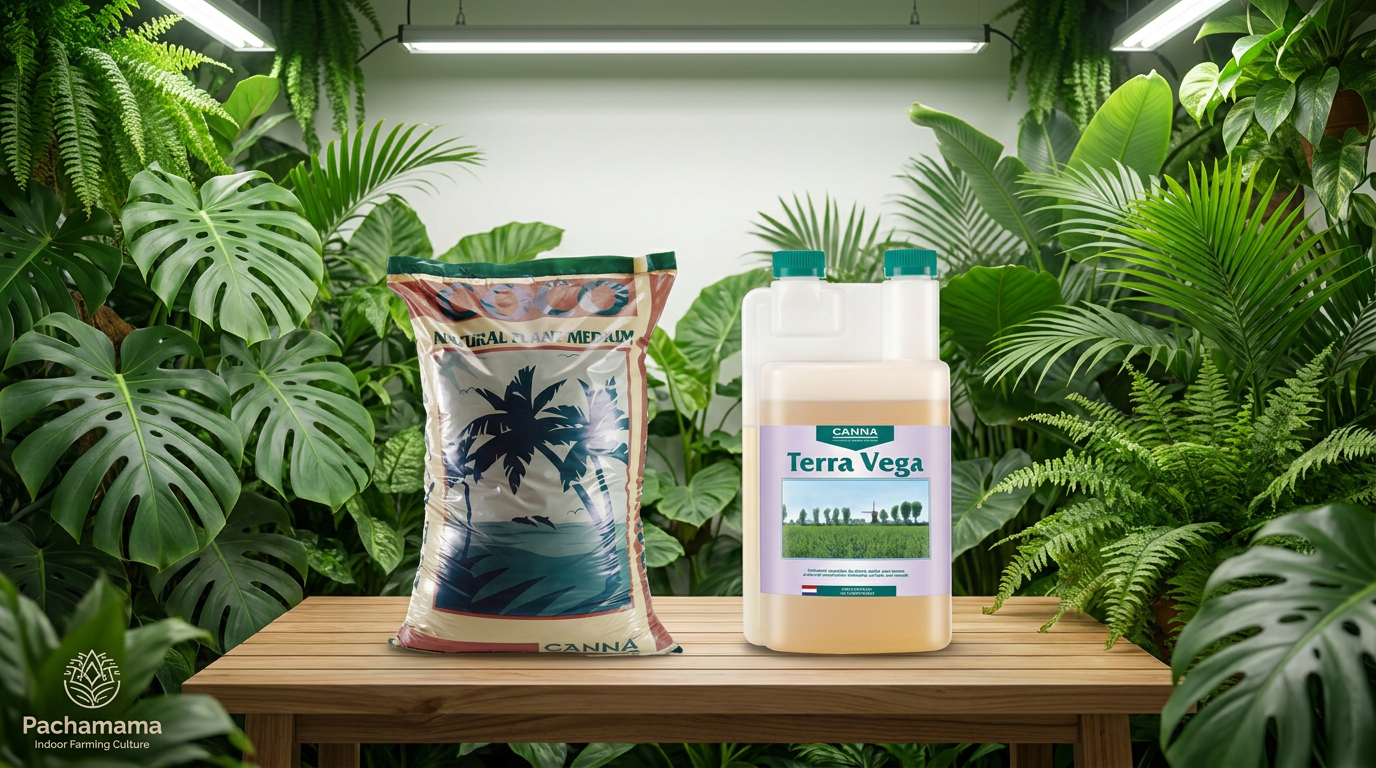 Canna Coco vs Canna Terra - Cual elegir para tu cultivo