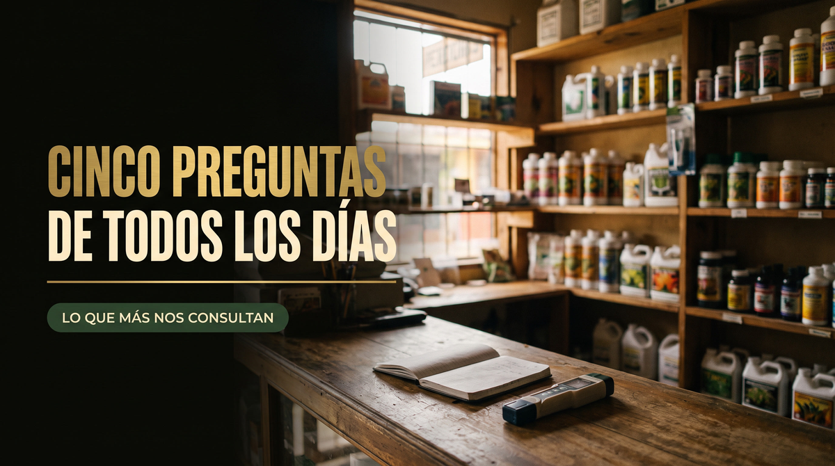 Mostrador de tienda de cultivo con estantería de productos al fondo