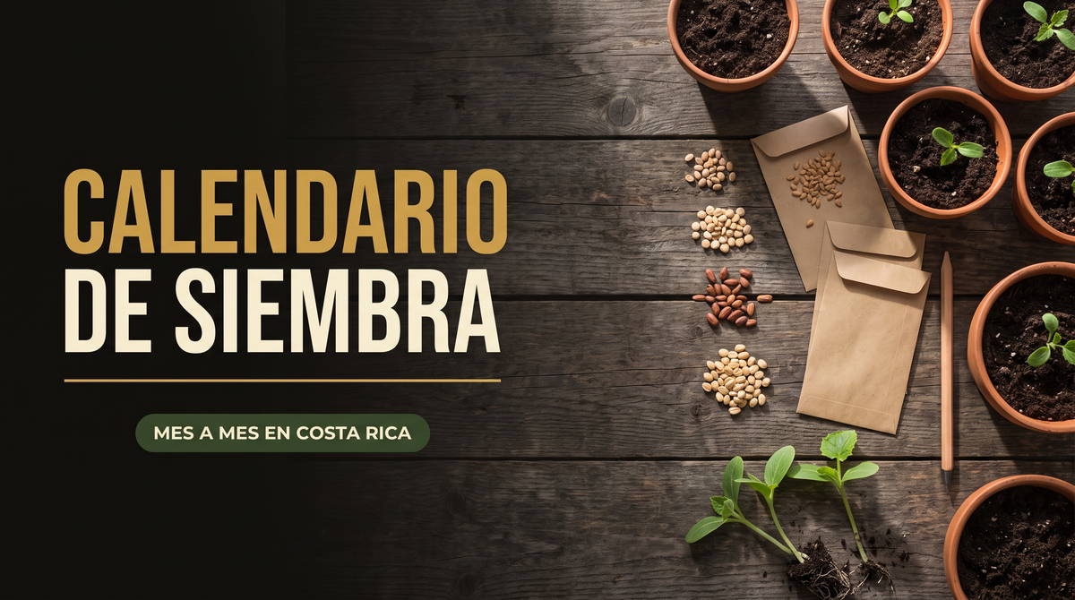 Semillas, sobres de papel kraft y macetas de barro sobre una mesa de madera oscura