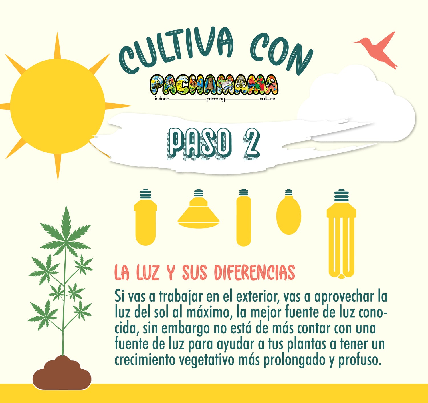 Cultiva con Pachamama Paso #2 - Pachamama Indoor Farming Culture