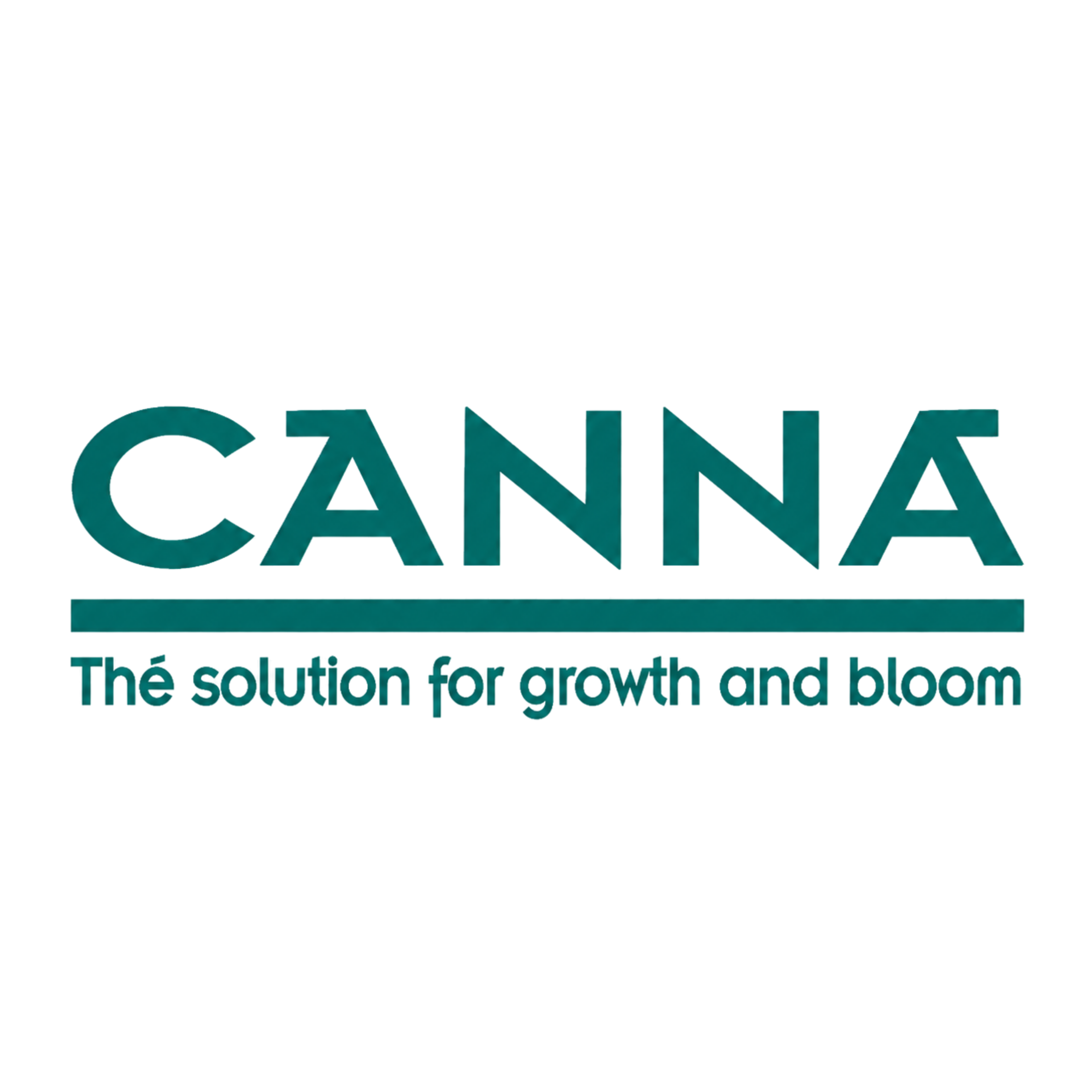 Canna