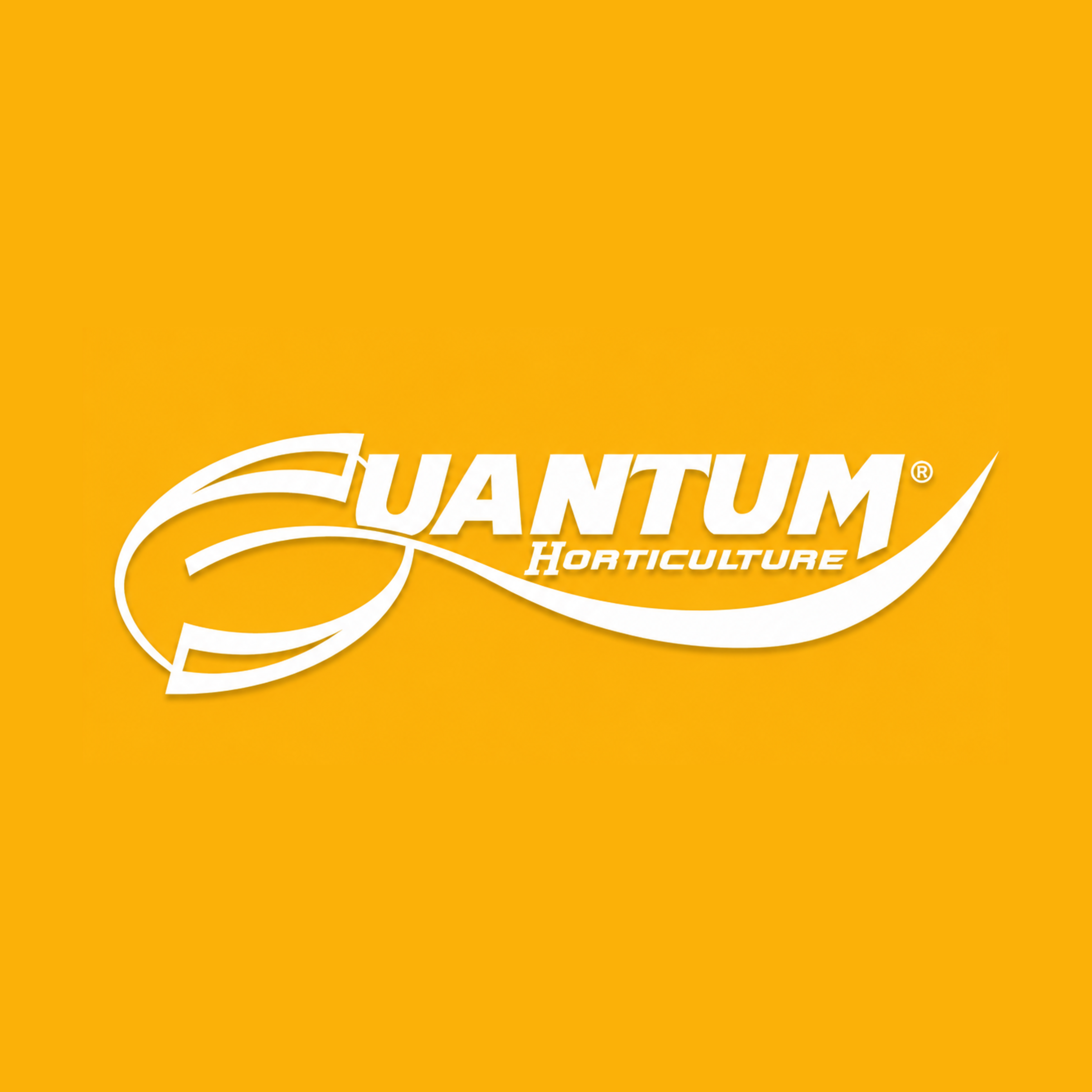 Quantum