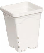 Active Aqua 7 in x 7 in Square White Pot, 9 in Tall