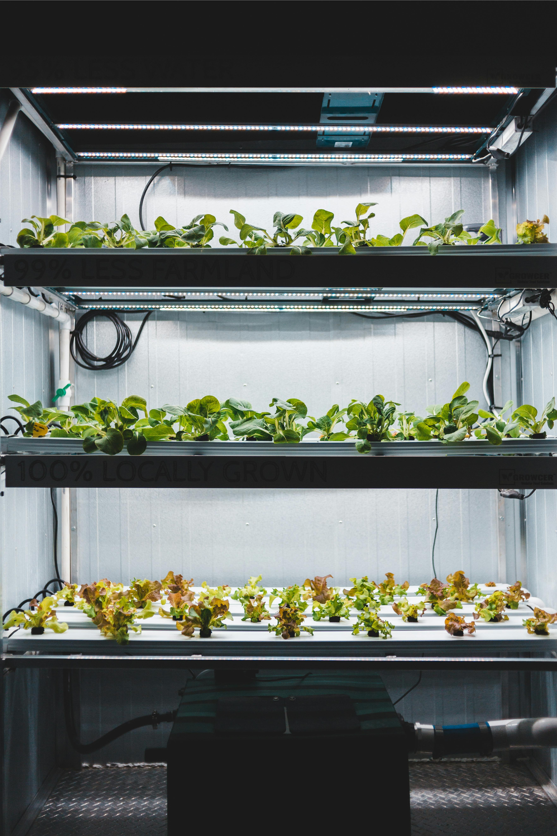 Efficient Growing