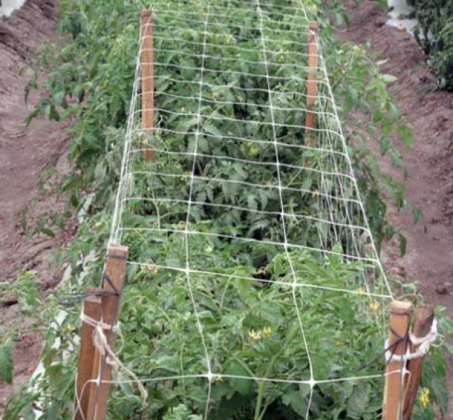 Grower's Edge Commercial Grade Trellis Netting 6.5 ft x 16 ft