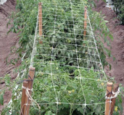 Red de enrejado de grado comercial Grower's Edge de 4.0 pies x 08 pies