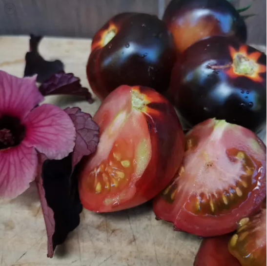 Semillas de Tomate Belleza Negra