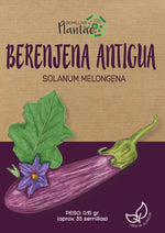Semillas de Berenjena Antigua