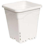 Active Aqua 12" x 12" Square White Pot, 12" Tall