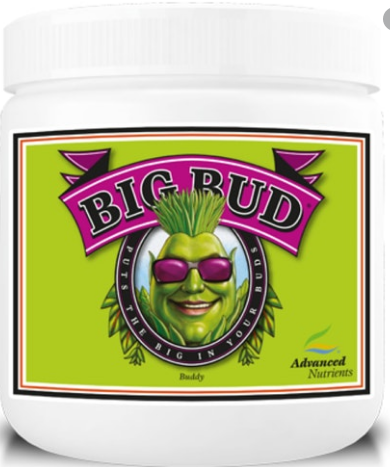 Big Bud Powder, 500 gm