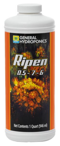 GH Ripen, 1 qt