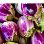 Semillas de Berenjena Rosa Blanca