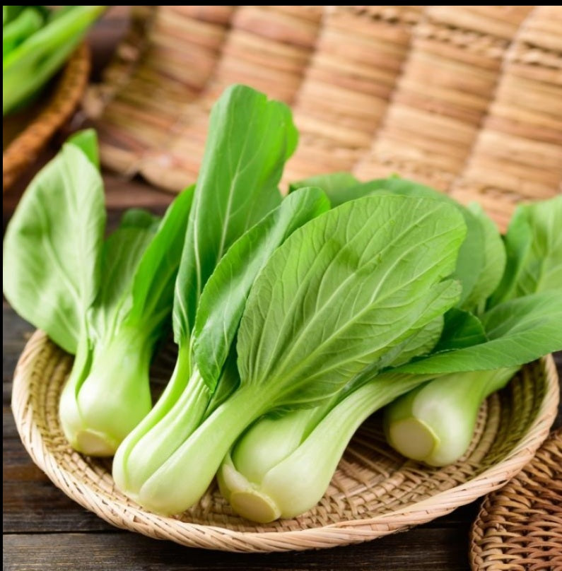 Semillas de Pak Choy