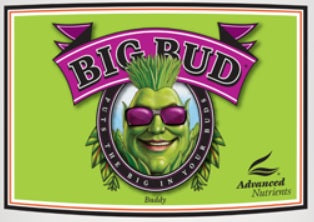 Big Bud Powder, 130 gm