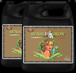 AN pH Perfect Sensi Coco Grow, Part B, 4 lt