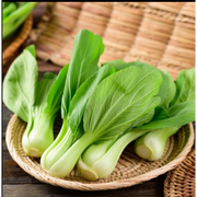 Semillas de Pak Choy