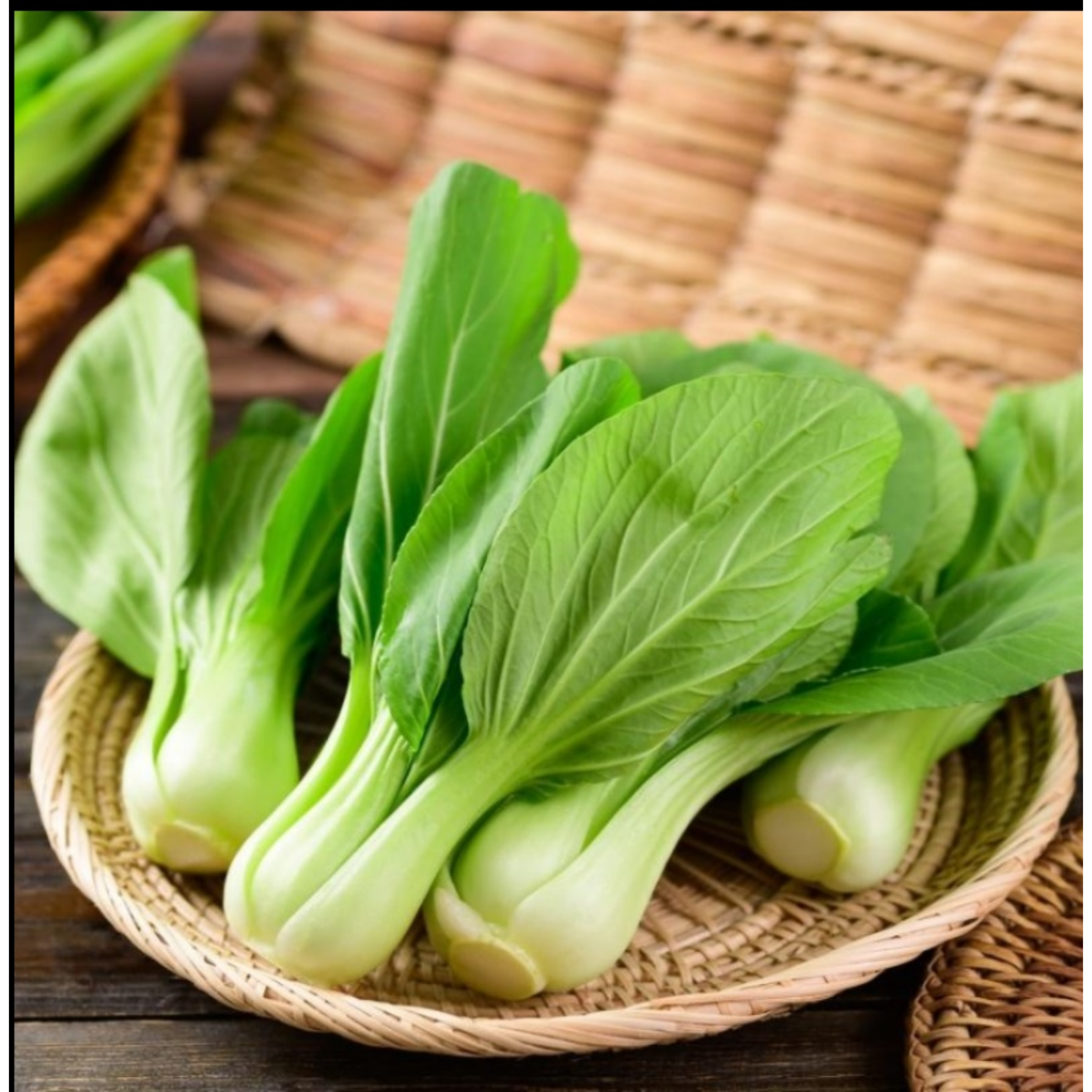 Semillas de Pak Choy