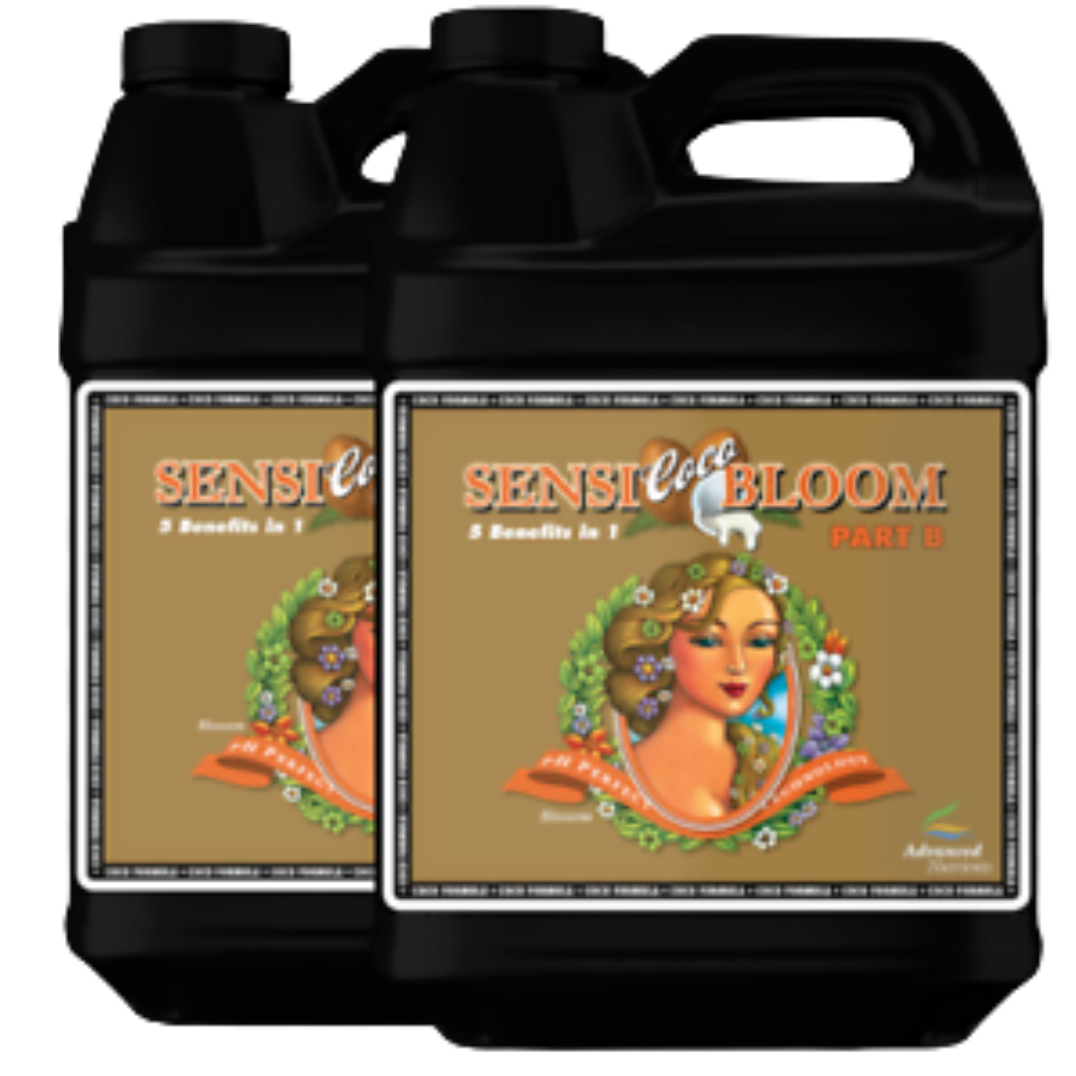 pH Perfect Sensi Coco Bloom Part B, 4 lt