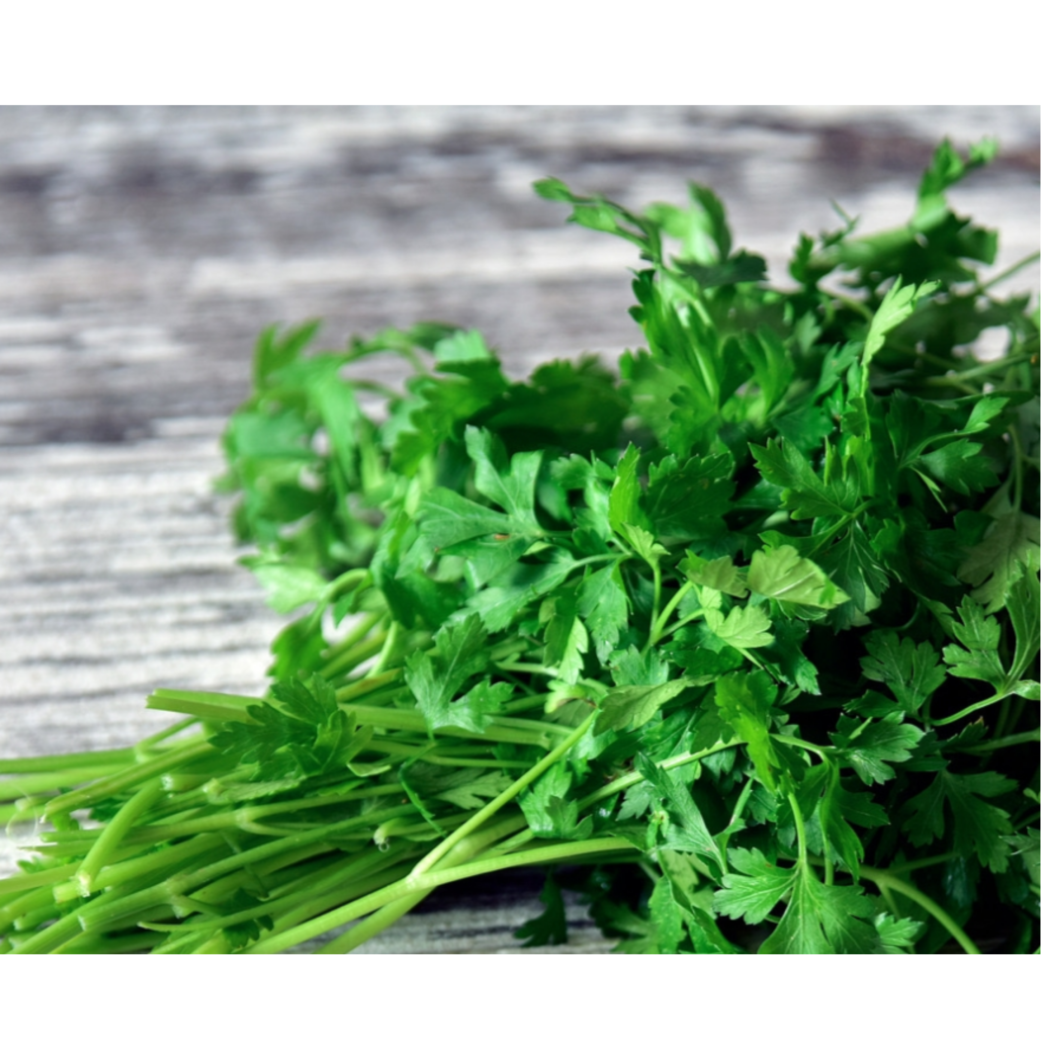 Italian Parsley Seeds
