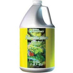 GH Floralicious Grow, 1 gal