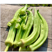 Semillas de Okra Birmana