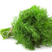 Dill Seeds