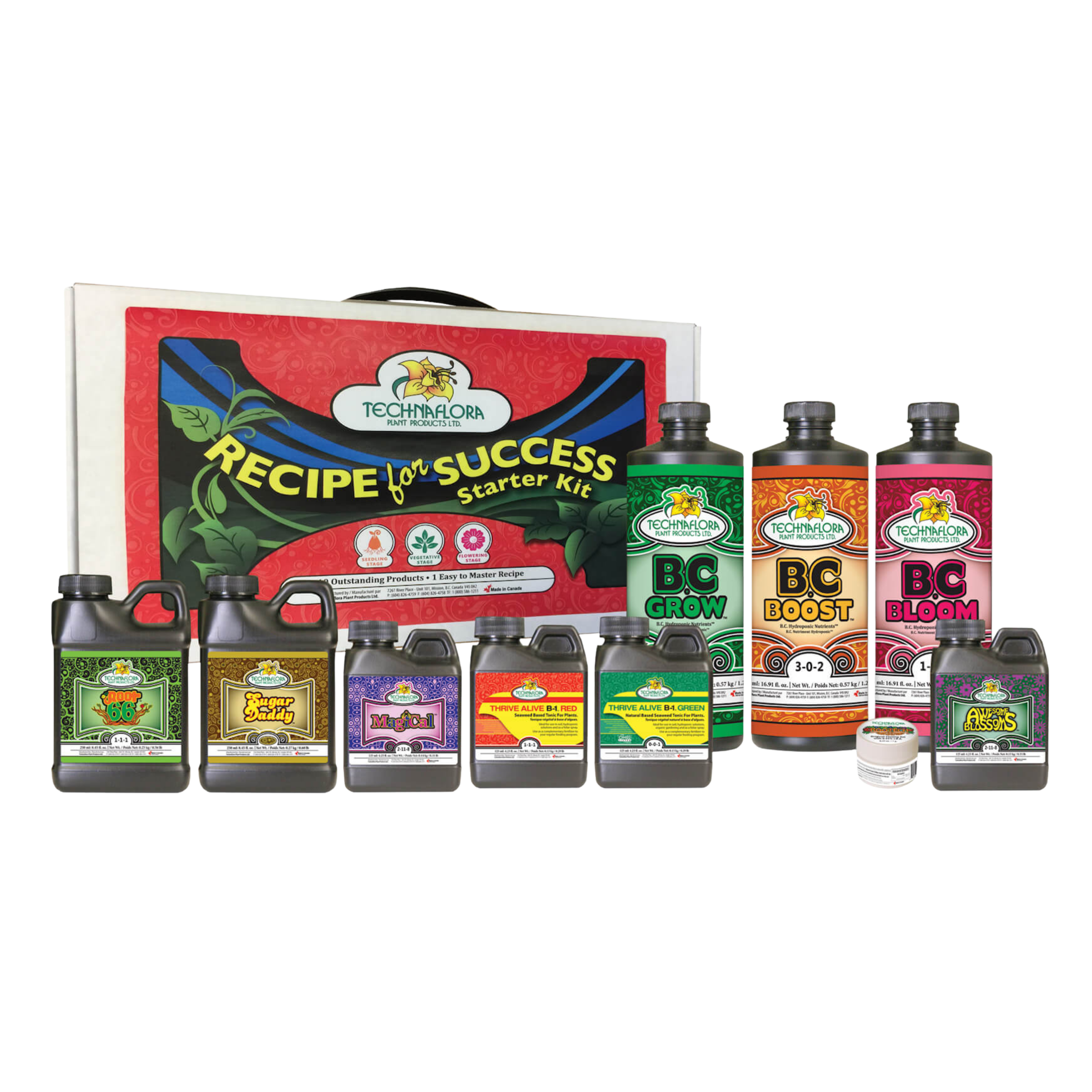 Kit de Inicio: Receta para el Éxito