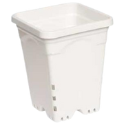 Olla blanca cuadrada Active Aqua de 6" x 6", 8" de altura