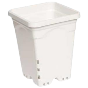 Active Aqua 6" x 6" Square White Pot, 8" Tall