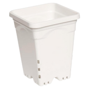 Maceta blanca cuadrada Active Aqua de 7 x 7 pulgadas, 9 pulgadas de alto