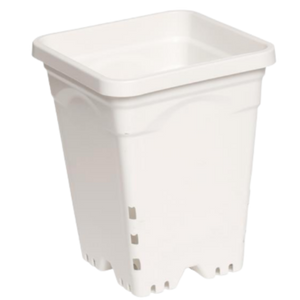 Active Aqua 7 in x 7 in Square White Pot, 9 in Tall