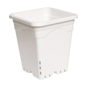 Active Aqua 9" x 9" Square White Pot, 10" Tall