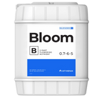 Athena Blended Bloom B, 5 galones