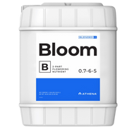 Athena Blended Bloom B, 5 galones
