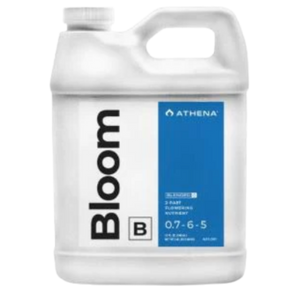 Floración mezclada Athena B, 32 oz