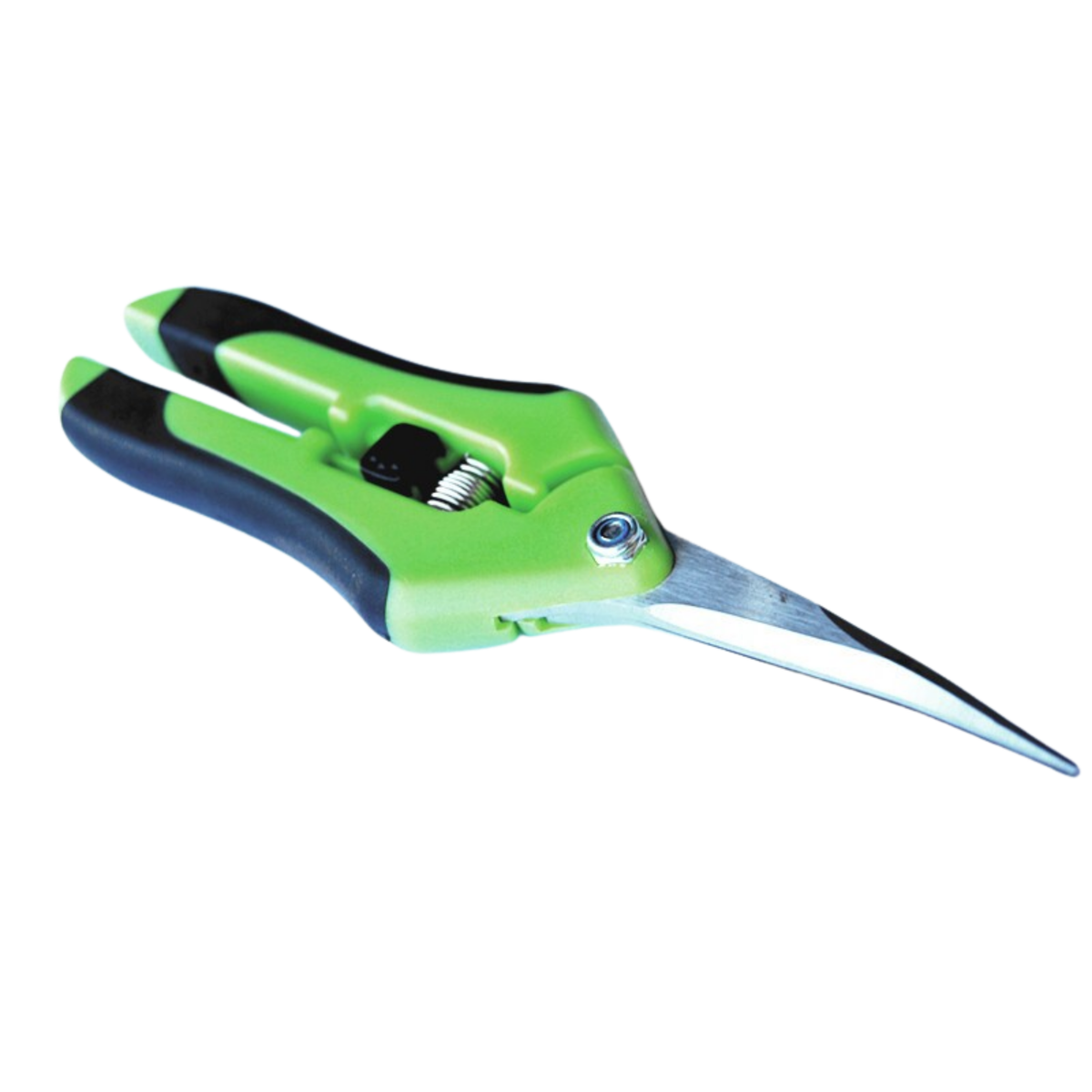 Curved Blade Scissor Blister package
