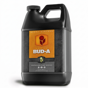 HEAVY 16 Bud A, 32 oz