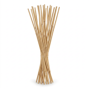 GROW!T 4' Bamboo Stakes, Natural (25 u/pck)