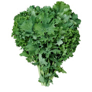 Semillas de Kale Enano Siberian