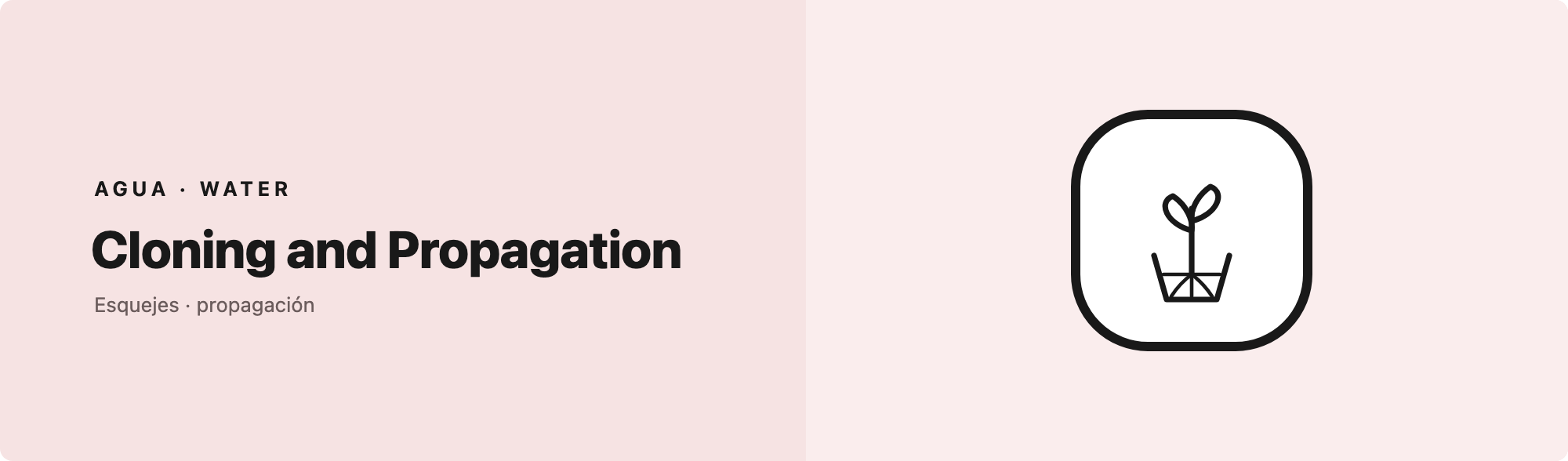 Cloning and Propagation
