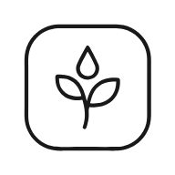 Fertilizantes y Suplementos
