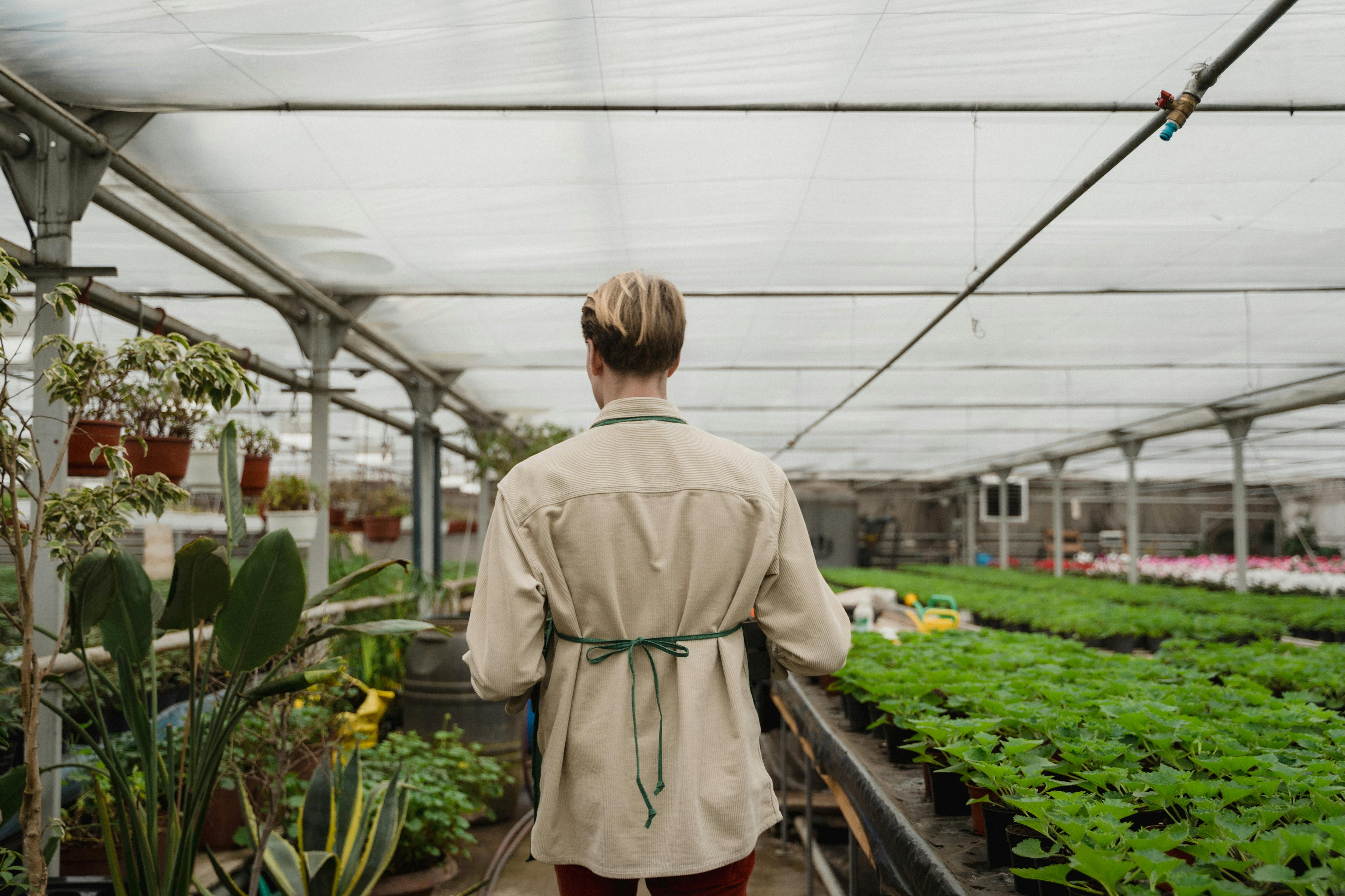 Pachamama Indoor Farming Culture
