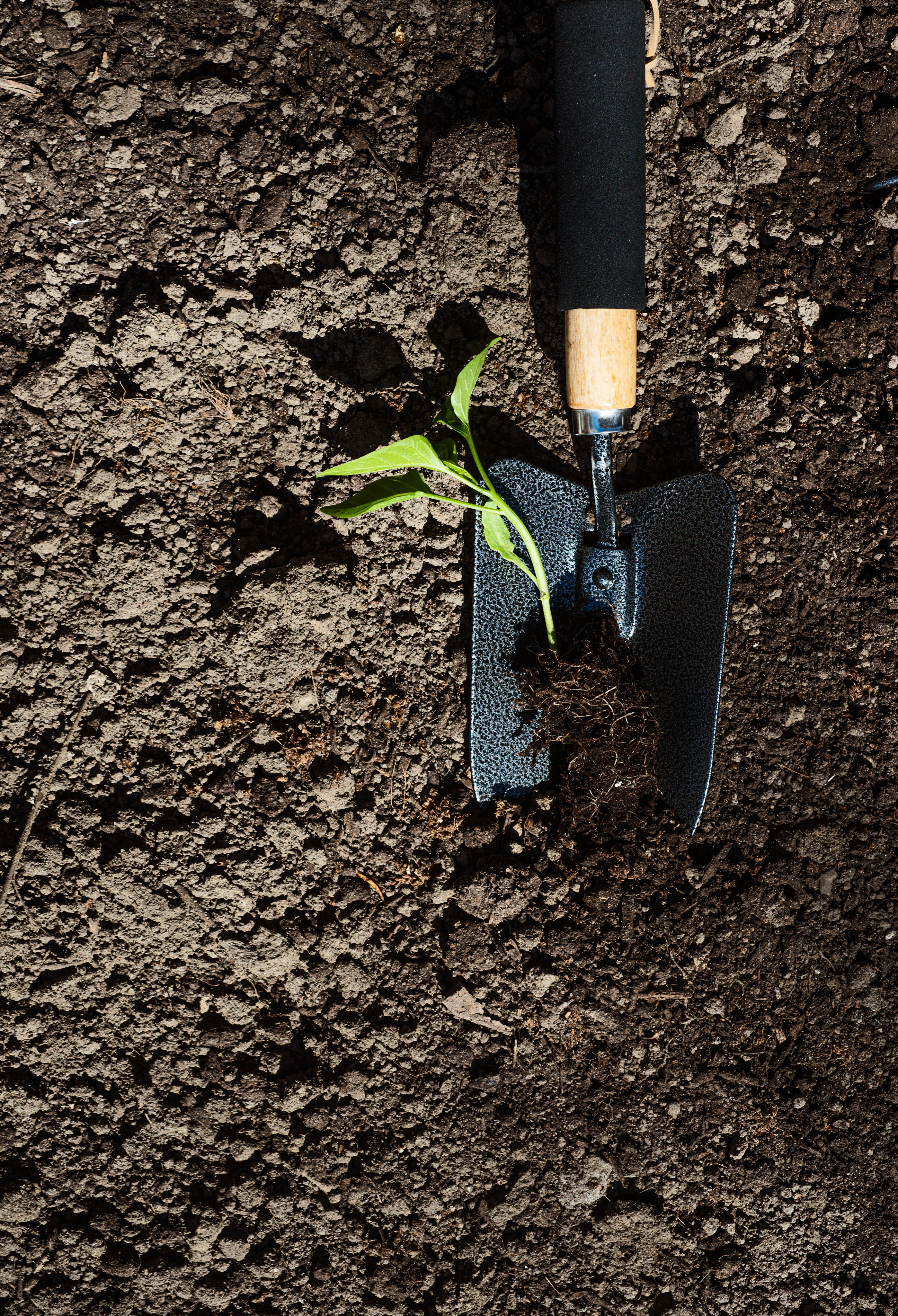 Pachamama Indoor Farming Culture